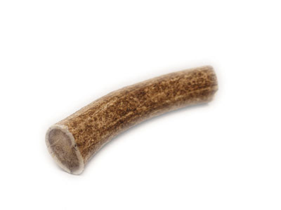 Large Whole Elk Antler Dog Chew
