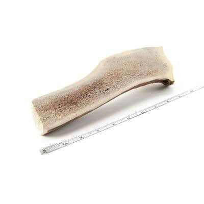 "Big Daddy" Split Elk Antler Dog Chew