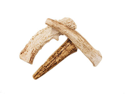 Small Whole Elk Antler Dog Chew